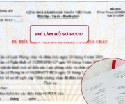 Chi phí làm hồ sơ phòng cháy chữa cháy [Mới cập nhật] 2024