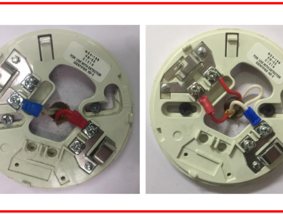 Công Ty TNHH Kiên Minh Trí