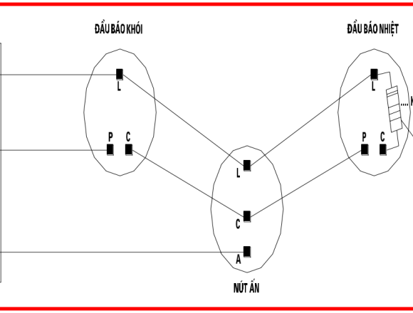 Công Ty TNHH Kiên Minh Trí