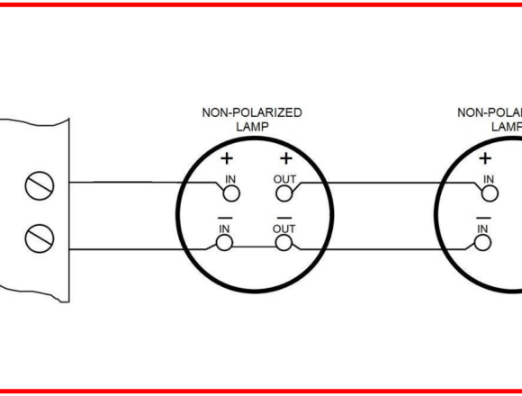 Công Ty TNHH Kiên Minh Trí