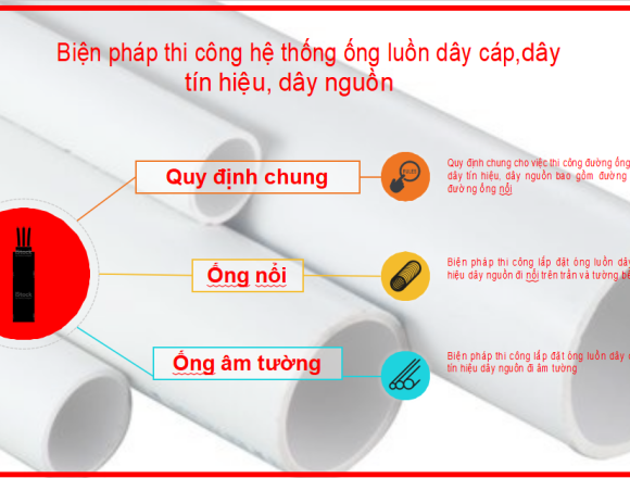 Công Ty TNHH Kiên Minh Trí