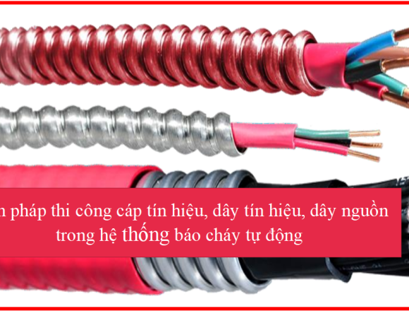 Công Ty TNHH Kiên Minh Trí